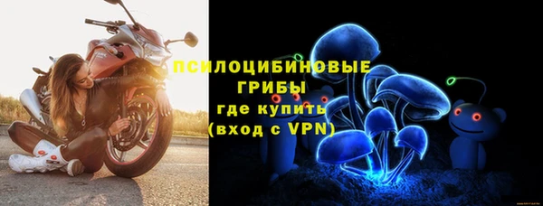 стафф Белокуриха