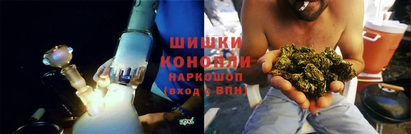 PSILOCYBIN Белоозёрский