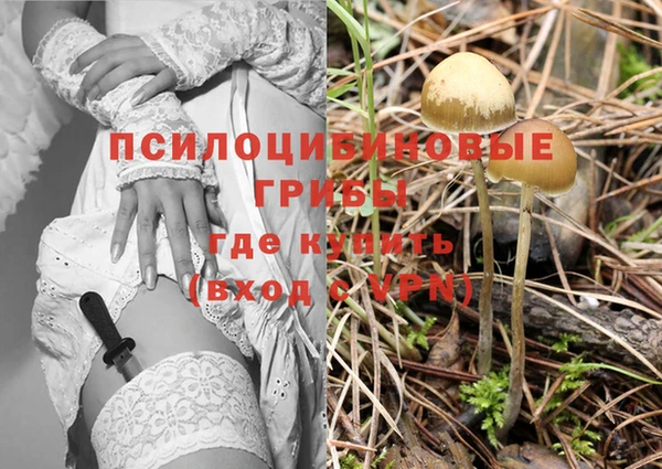 прущая мука Беломорск