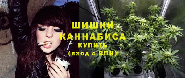 PSILOCYBIN Белоозёрский