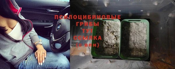 PSILOCYBIN Белоозёрский